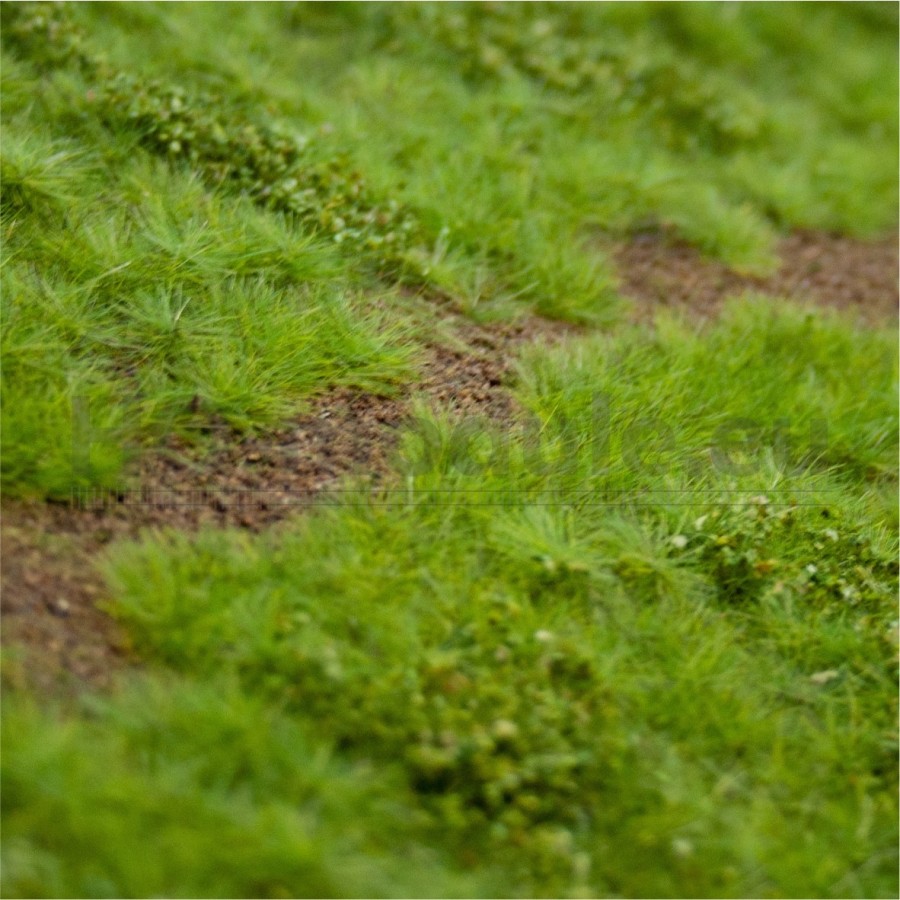 Bahndammbegrünung – Frühling